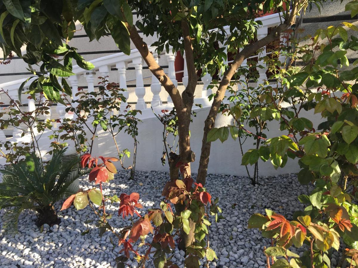 Hotel Torres I Villanueva Del Arzobispo Buitenkant foto